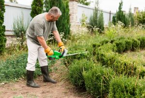 reduire emprunte écologique en jardinant