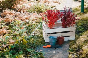 potager décoratif